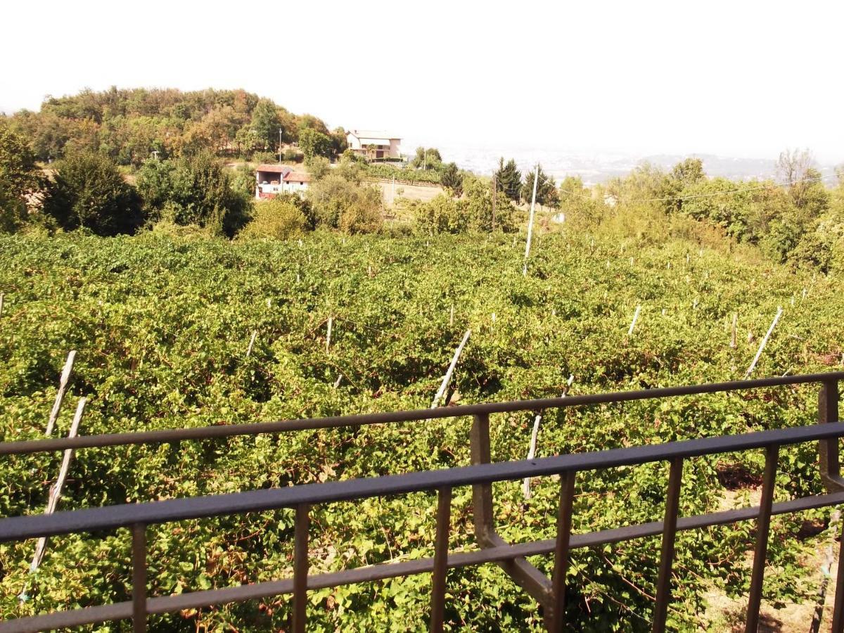 Perarolo La Panoramicaヴィラ エクステリア 写真