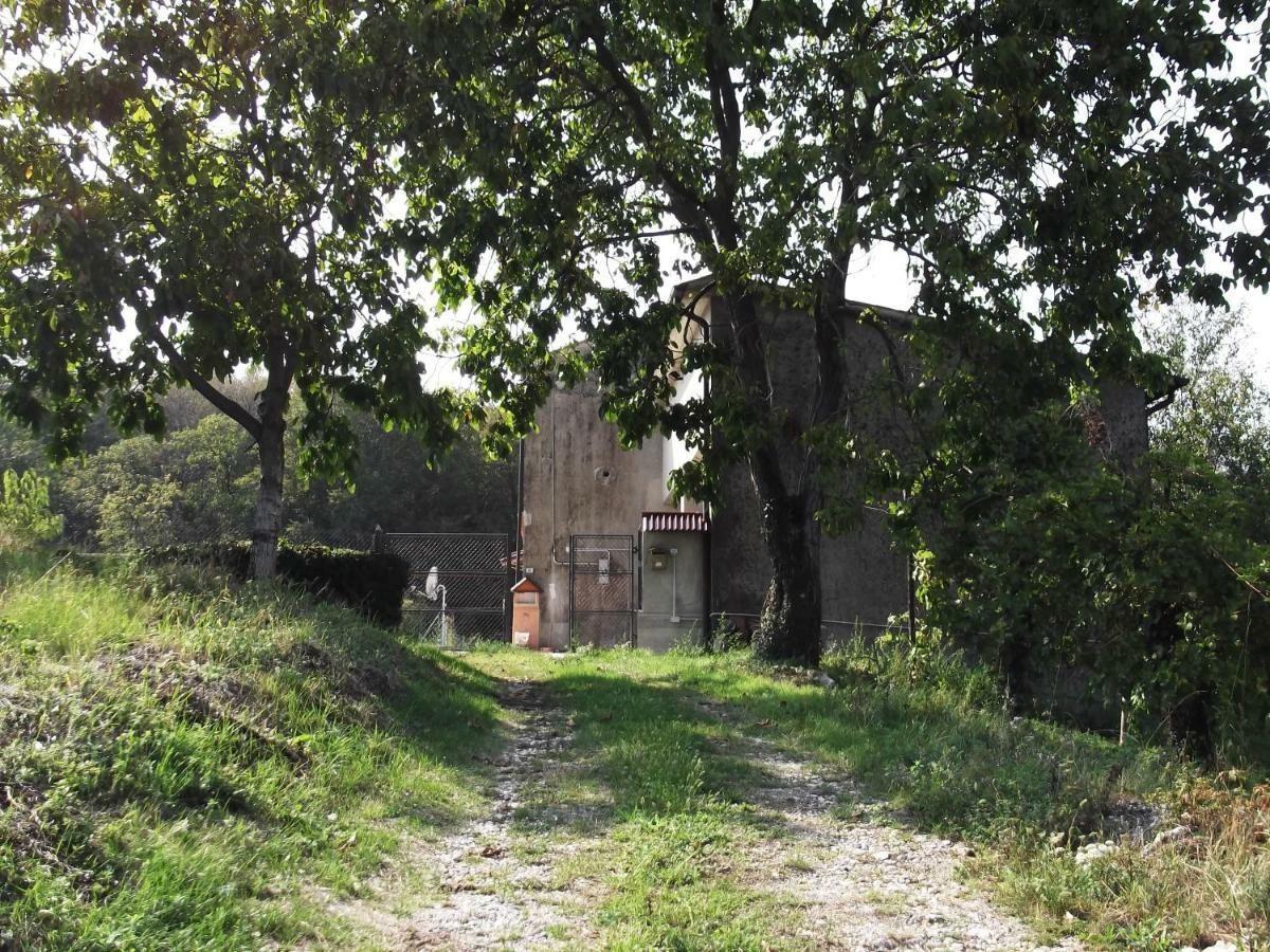 Perarolo La Panoramicaヴィラ エクステリア 写真